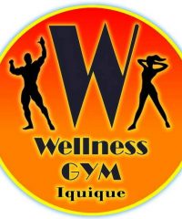 GIMNASIO WELLNESS